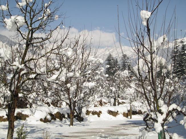 Hotel Treebo Trend Celebriti Manali Vashist Exterior foto